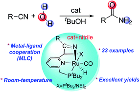 Graphical abstract: Hydration of nitriles using a metal–ligand cooperative ruthenium pincer catalyst