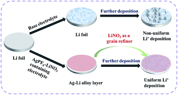 Graphical abstract: Suppressing lithium dendrite growth by a synergetic effect of uniform nucleation and inhibition