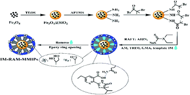 Graphical abstract: Highly selective enrichment and direct determination of imazethapyr residues from milk using magnetic solid-phase extraction based on restricted-access molecularly imprinted polymers