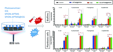 Graphical abstract: Broad spectrum antibacterial photodynamic and photothermal therapy achieved with indocyanine green loaded SPIONs under near infrared irradiation