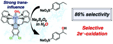 Graphical abstract: Selective catalytic 2e−-oxidation of organic substrates by an FeII complex having an N-heterocyclic carbene ligand in water