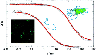 Graphical abstract: Effect of the supramolecular interactions on the nanostructure of halloysite/biopolymer hybrids: a comprehensive study by SANS, fluorescence correlation spectroscopy and electric birefringence