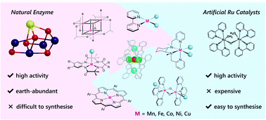 Graphical abstract: Design of molecular water oxidation catalysts with earth-abundant metal ions