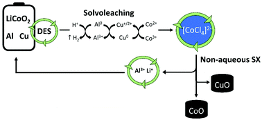 Graphical abstract: Solvometallurgical recovery of cobalt from lithium-ion battery cathode materials using deep-eutectic solvents