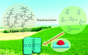 Graphical abstract: Hydrodeoxygenation of lignin-derived phenolics – a review on the active sites of supported metal catalysts