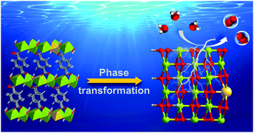 Graphical abstract: In situ identification of the electrocatalytic water oxidation behavior of a nickel-based metal–organic framework nanoarray