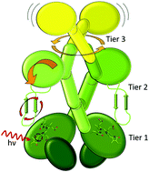 Graphical abstract: Tips and turns of bacteriophytochrome photoactivation