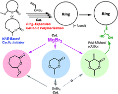 Graphical abstract: Magnesium bromide (MgBr2) as a catalyst for living cationic polymerization and ring-expansion cationic polymerization