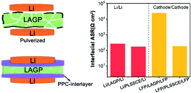 Graphical abstract: Reducing interfacial resistance of a Li1.5Al0.5Ge1.5(PO4)3 solid electrolyte/electrode interface by polymer interlayer protection