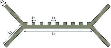 Graphical abstract: Dielectrophoretic separation of platelet cells in a microfluidic channel and optimization with fuzzy logic