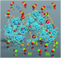 Graphical abstract: A metal–organic framework/polymer derived catalyst containing single-atom nickel species for electrocatalysis