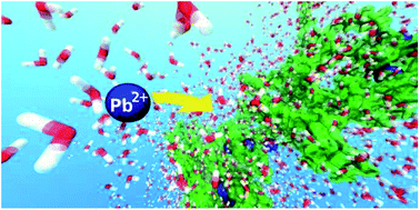 Graphical abstract: How natural materials remove heavy metals from water: mechanistic insights from molecular dynamics simulations