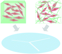 Graphical abstract: From cells-on-a-chip to organs-on-a-chip: scaffolding materials for 3D cell culture in microfluidics