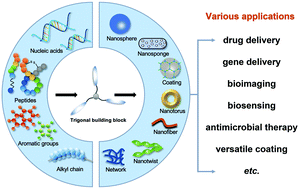 Graphical abstract: Self-assembly of trigonal building blocks into nanostructures: molecular design and biomedical applications