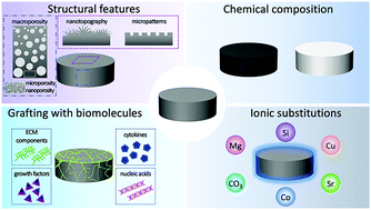 Graphical abstract: Inflammation and biomaterials: role of the immune response in bone regeneration by inorganic scaffolds