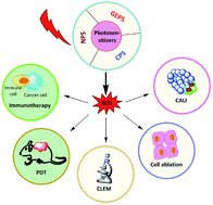 Graphical abstract: Growing tool-kit of photosensitizers for clinical and non-clinical applications