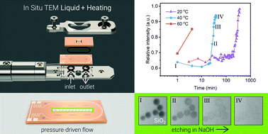 Graphical abstract: Liquid phase transmission electron microscopy with flow and temperature control