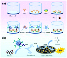Graphical abstract: Liposome-assisted enzyme catalysis: toward signal amplification for sensitive split-type electrochemiluminescence immunoassay