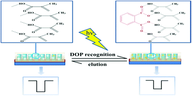 Graphical abstract: High-sensitivity photo-electrochemical heterostructure of the cuprous oxide-metal organic framework for a dioctyl phthalate molecularly imprinted sensor