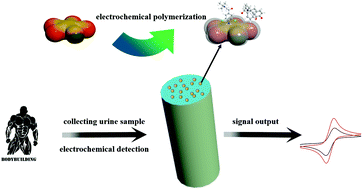 Graphical abstract: A high sensitivity electrochemical sensor based on a dual-template molecularly imprinted polymer for simultaneous determination of clenbuterol hydrochloride and ractopamine