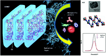 Graphical abstract: MOF-assisted antifouling material: application in rapid determination of TB gene in whole-serum specimens