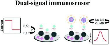 Graphical abstract: A dual-signal electrochemical immunosensor for the detection of HPV16 E6 oncoprotein based on PdBP dendritic ternary nanospheres and MBSi-Chi nanocomposites