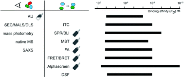 Graphical abstract: The characterization of protein interactions – what, how and how much?