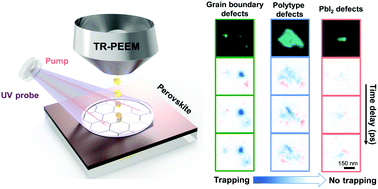 Graphical abstract: Unraveling the varied nature and roles of defects in hybrid halide perovskites with time-resolved photoemission electron microscopy