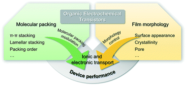 Graphical abstract: Molecular packing and film morphology control in organic electrochemical transistors