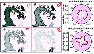 Graphical abstract: Polarization-perceptual anisotropic two-dimensional ReS2 neuro-transistor with reconfigurable neuromorphic vision