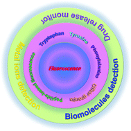 Graphical abstract: A review on recent advances in amino acid and peptide-based fluorescence and its potential applications