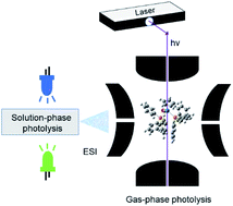 Graphical abstract: A “one pot” mass spectrometry technique for characterizing solution- and gas-phase photochemical reactions by electrospray mass spectrometry