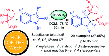 Graphical abstract: Catalytic (3 + 2) annulation of donor–acceptor aminocyclopropane monoesters and indoles