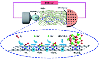 Graphical abstract: In situ TEM visualization of single atom catalysis in solid-state Na–O2 nanobatteries