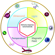 Graphical abstract: Stimulus-responsive nanomaterials under physical regulation for biomedical applications