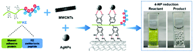 Graphical abstract: Zwitterionic peptide-functionalized highly dispersed carbon nanotubes for efficient wastewater treatment