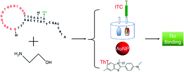 Graphical abstract: Homogeneous assays for aptamer-based ethanolamine sensing: no indication of target binding