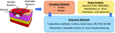 Graphical abstract: Detecting bacterial infections in wounds: a review of biosensors and wearable sensors in comparison with conventional laboratory methods