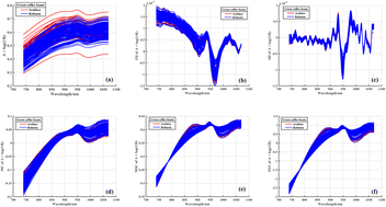 Graphical abstract: Rapid authentication of coffee bean varieties of different forms by using a pocket-sized spectrometer and multivariate data modelling