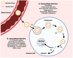 Graphical abstract: Approaches towards biomaterial-mediated gene editing for cancer immunotherapy