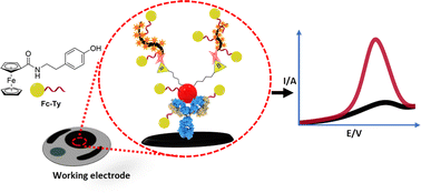 Graphical abstract: Catalysed amplification of faradaic shotgun tagging in ultrasensitive electrochemical immunoassays