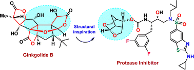 Graphical abstract: Beyond darunavir: recent development of next generation HIV-1 protease inhibitors to combat drug resistance