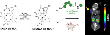 Graphical abstract: Validation of a post-radiolabeling bioconjugation strategy for radioactive rare earth complexes with minimal structural footprint