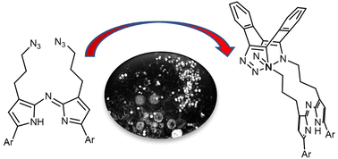 Graphical abstract: Double click macrocyclization with Sondheimer diyne of aza-dipyrrins for B–Free bioorthogonal imaging