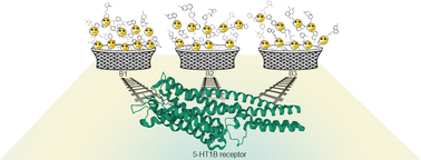 Graphical abstract: Hierarchical analysis of the target-based scoring function modification for the example of selected class A GPCRs