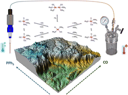 Graphical abstract: Mapping catalyst activation, turnover speciation and deactivation in Rh/PPh3-catalysed olefin hydroformylation