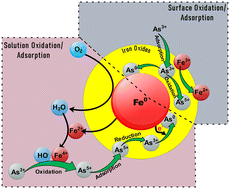 Graphical abstract: Oxidative sorption of arsenite from water by iron: a mechanistic perspective