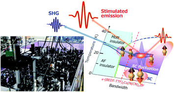 Graphical abstract: Petahertz charge dynamics in a correlated organic superconductor