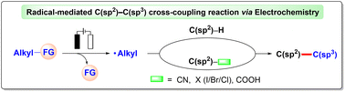 Graphical abstract: Electrocatalytic synthesis: an environmentally benign alternative for radical-mediated aryl/alkenyl C(sp2)–C(sp3) cross-coupling reactions