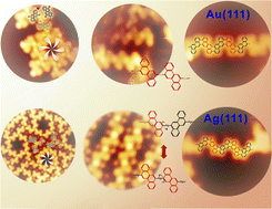 Graphical abstract: Chirality variation from self-assembly on Ullmann coupling for the DBCh adsorbate on Au(111) and Ag(111)